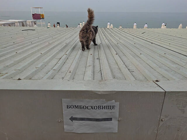 В Одесі відкрили ще 8 ділянок пляжів