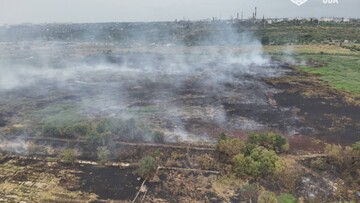 В Одесі палають Поля зрошення: ось чому все місто в диму