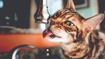 В Одесі не схвалили підвищення тарифів на воду для мешканців
