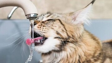 В Одесі погодили новий тариф на водопостачання