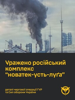 На росії уражено порт Усть-Луга
