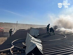 В Одеській області росіяни атакували курей