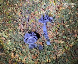 Одеську область масовано атакувала росія