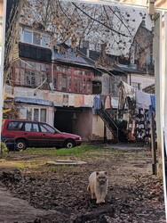 "Одеса в кадрі": на виставці відомого майстра можна побачити душу міста